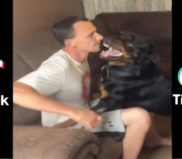 NE PLAŠI SE SMRTI: Fenomenalan TikTok snimak čoveka koji seče nokte psu koji reži