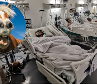 LEKARI U OKLAHOMI OČAJNI: Bolnice pune predoziranih konjskim lekom