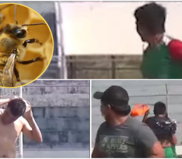 PREKID MEČA: Fudbalere jurile agresivne pčele (VIDEO)