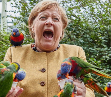 NAPAO KANCELARKU: Merkelovu ugrizao papagaj
