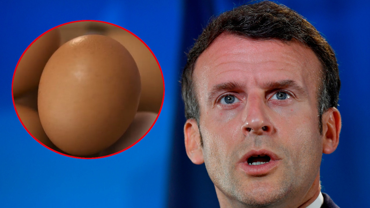 ТАРГЕТ: Француски председник погођен јајетом (Видео)