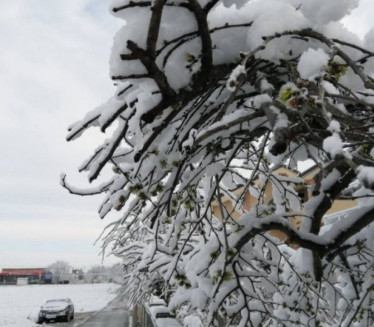 ČUBRILO: Sneg, otopljenje pa sredinom meseca pravo zahlađenje