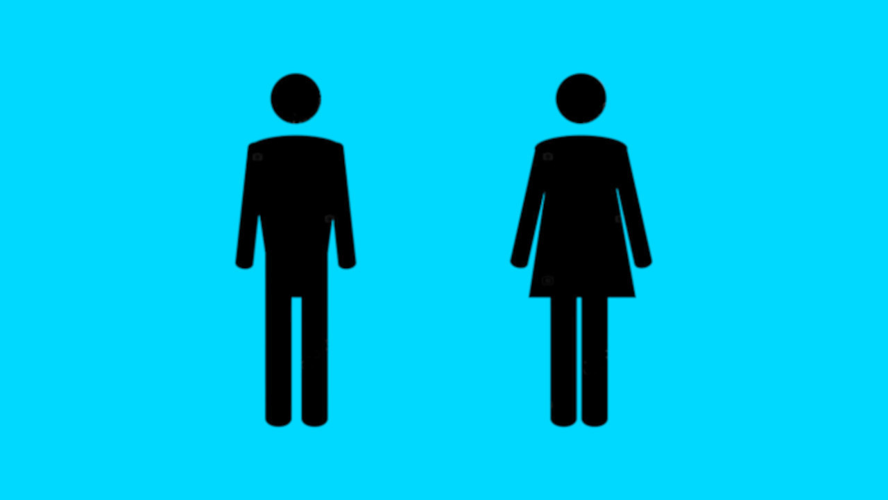 AKO NIJE HALJINA:Šta označava ženski znak na vratima toaleta?