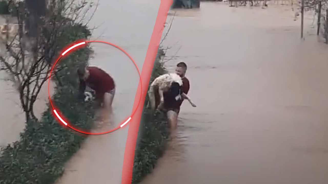 DAH RAJA USRED PAKLA Bosanac je heroj, spasio psa iz poplava