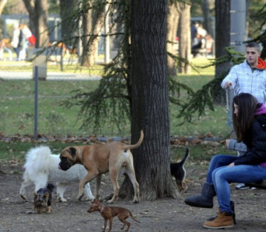 Београд добија два парка за псе на атрактивним локацијама