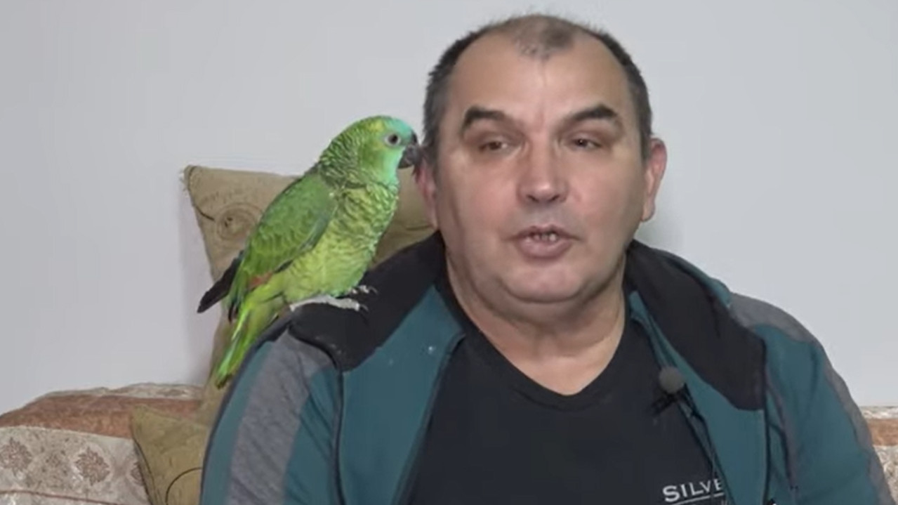 NEVEROVATNO: Dragoslav ima papagaje koji laju i mjauču