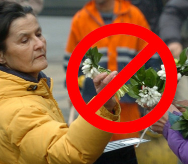 HRVATI DONELI NEOBIČAN ZAKON: Kazne za branje cveća
