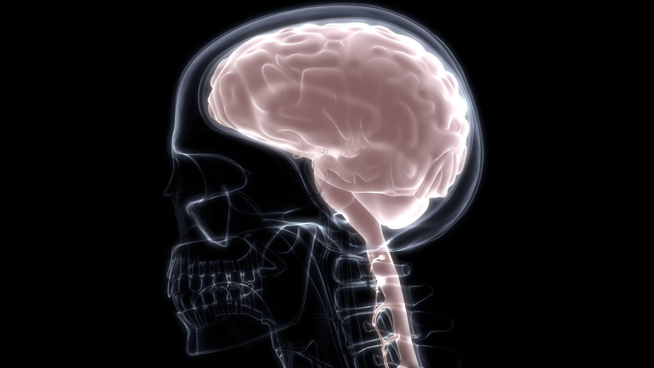 AKTIVNOST SLIČNA SANJANJU: Prvo skeniranje umirućeg mozga