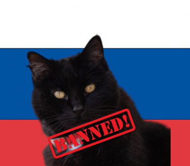 BIZARNO! Ruskim mačkama zabranjeno takmičenje?