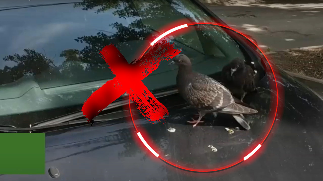 МОГУЋА ТРАЈНА ОШТЕЋЕЊА: Како очистити птичји измет са кола?