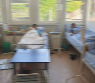 TROVANJE UČENIKA U NIŠU: Šestoro u bolnici zbog pljeskavica
