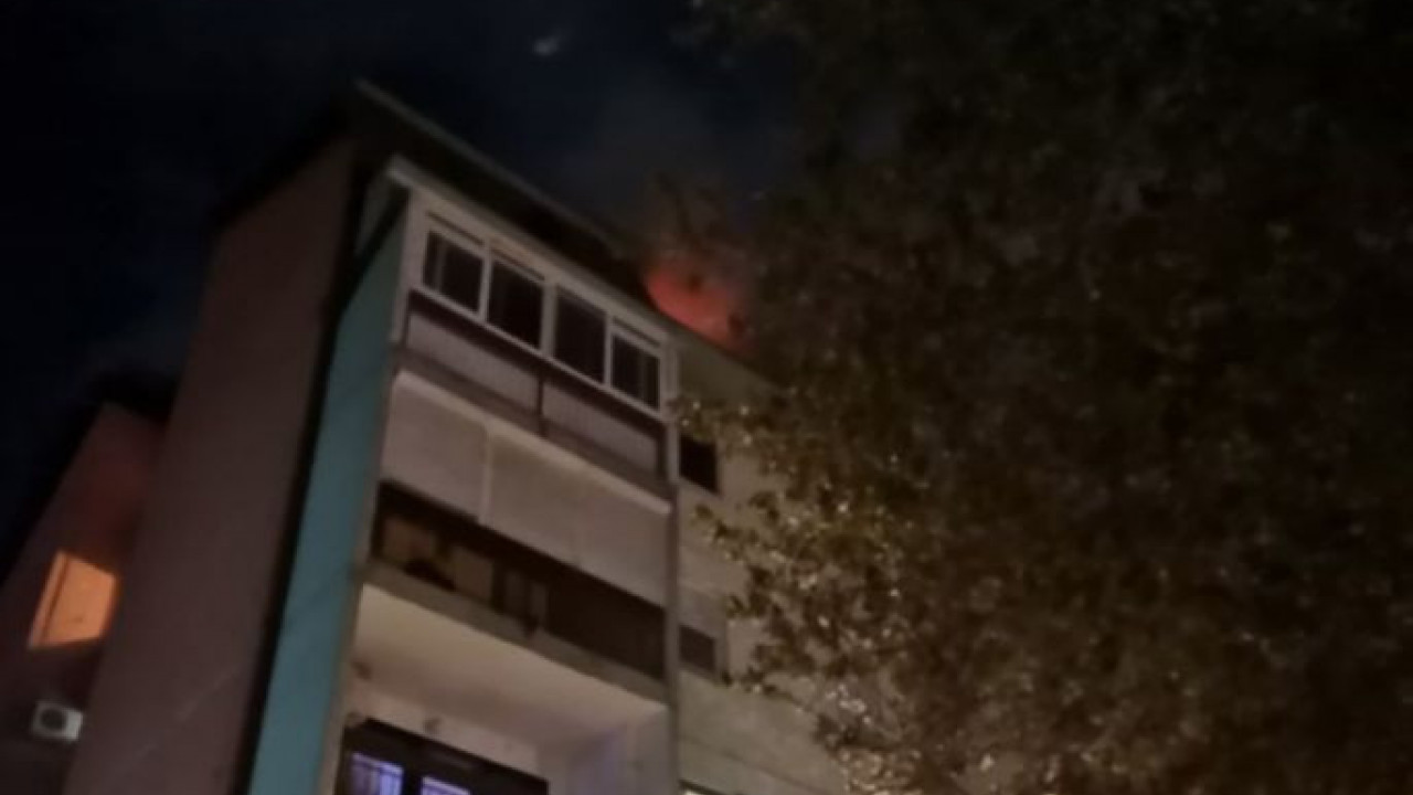 POTRESNA SCENA IZ MIRIJEVA Pas čeka vlasnicu, umrla u požaru