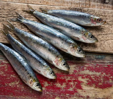NISU ZDRAVE ZA SVE: Ko ne bi smeo da jede sardine