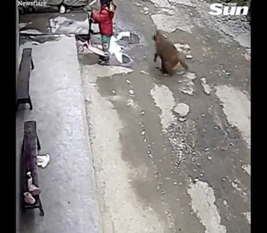 JEDVA ŽIVA OSTALA: Besni majmun napao dete (VIDEO)