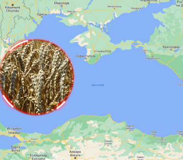 POSTIGNUT DOGOVOR: Stvara se "žitni koridor" u Ukrajini