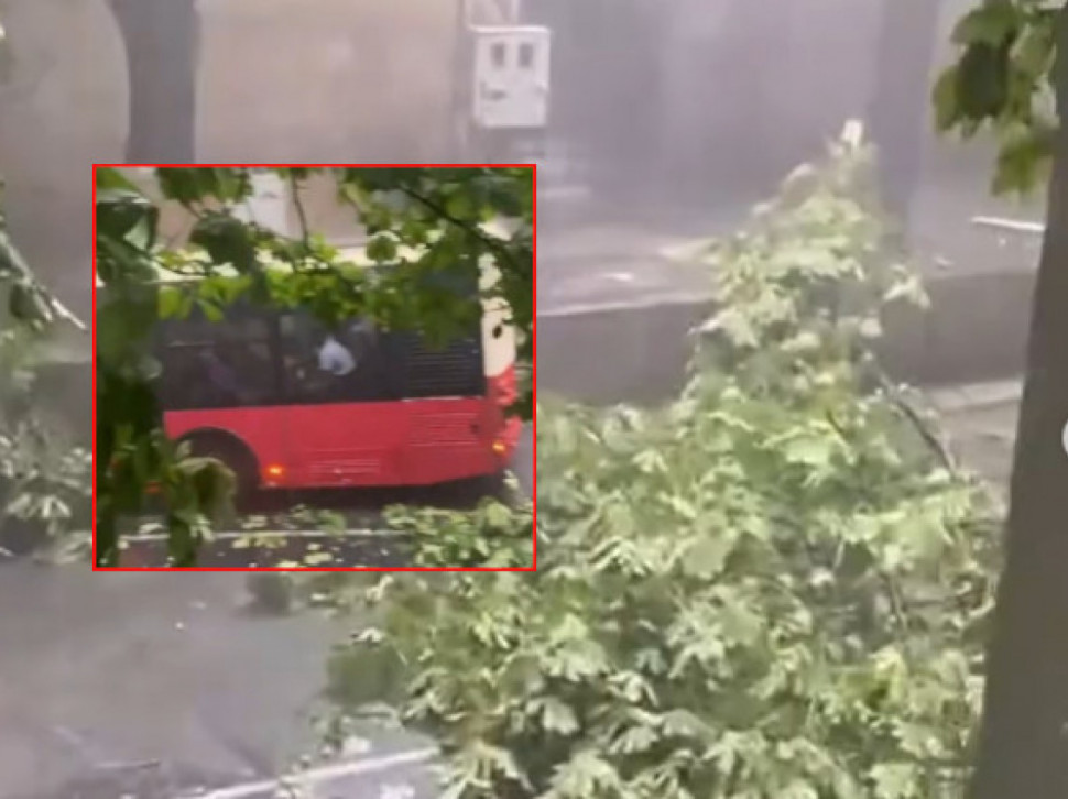 DRVO PALO NA BUS: Oluja zaustavila saobraćaj u Beogradu