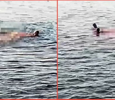 ТРАГЕДИЈА У ЕГИПТУ: Ајкула усмртила жену код Хургаде (ВИДЕО)