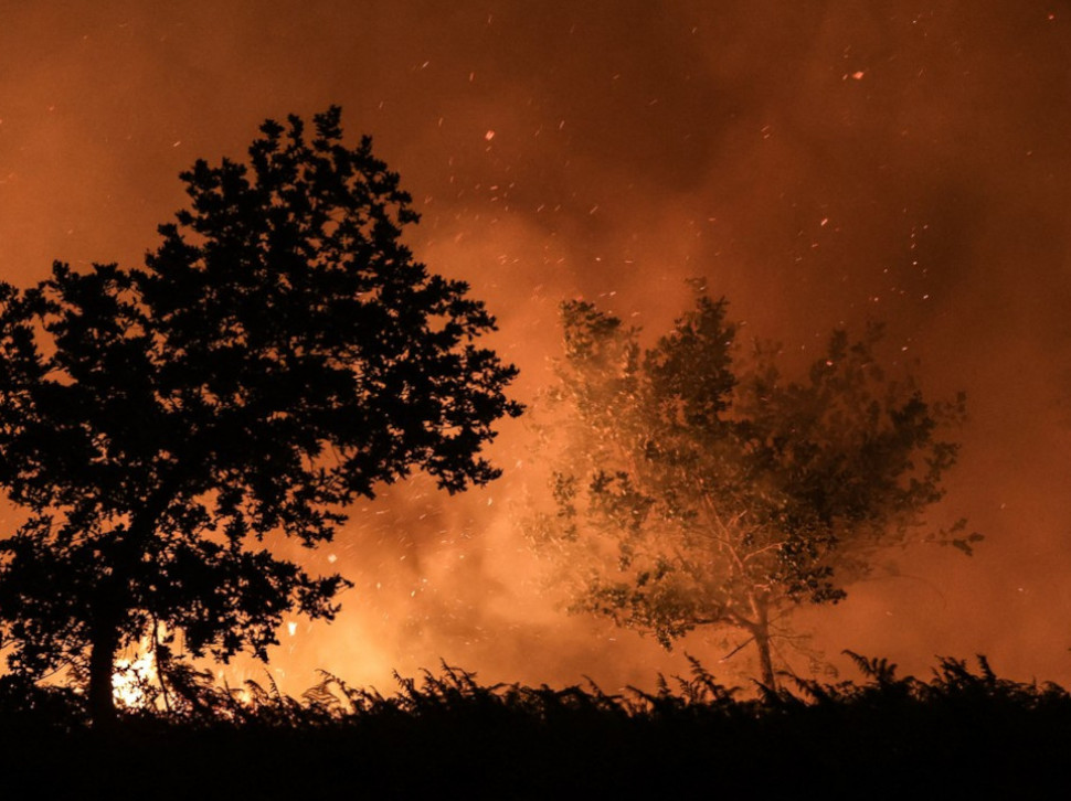 POŽAR U BIH: Vatra na 100 metara od kuća