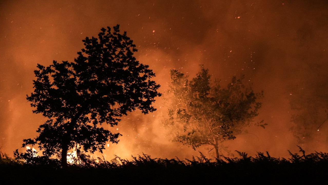 POŽAR U BIH: Vatra na 100 metara od kuća