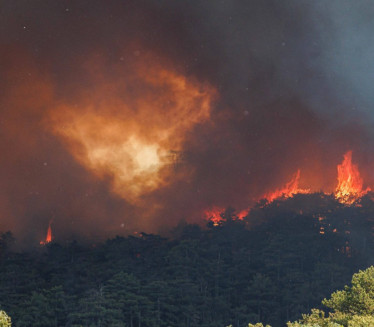 U NEDOSTATKU KANADERA Crnoj Gori izgori 100 km² šume godišnje