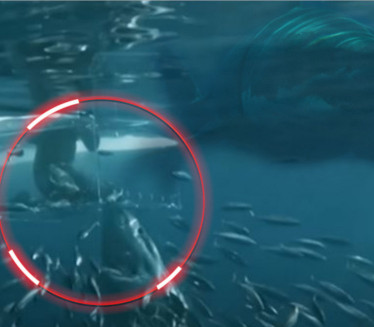 ЗАСТРШУЈУЋ СНИМАК: Ајкула пробила заштиту и напала човека