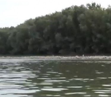 ИЗВУЧЕН ЛЕШ: Стравичне сцене на Дунаву