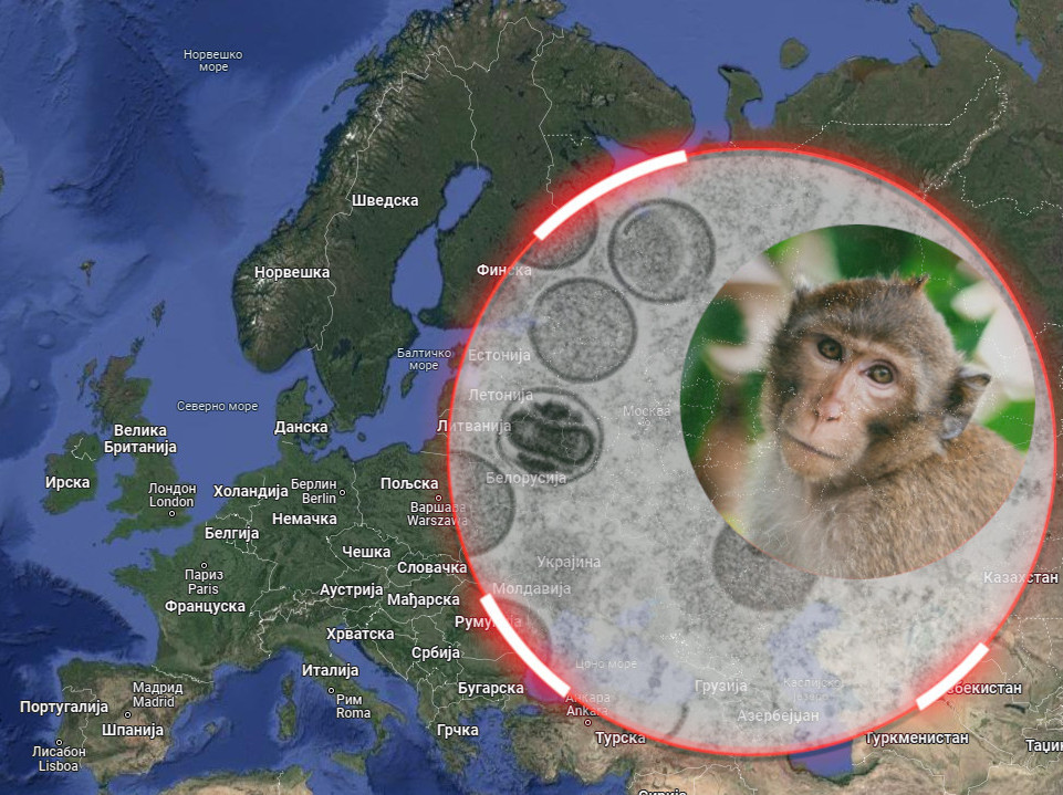 PRVA ŽRTVA: Majmunske boginje odnele život u Evropi