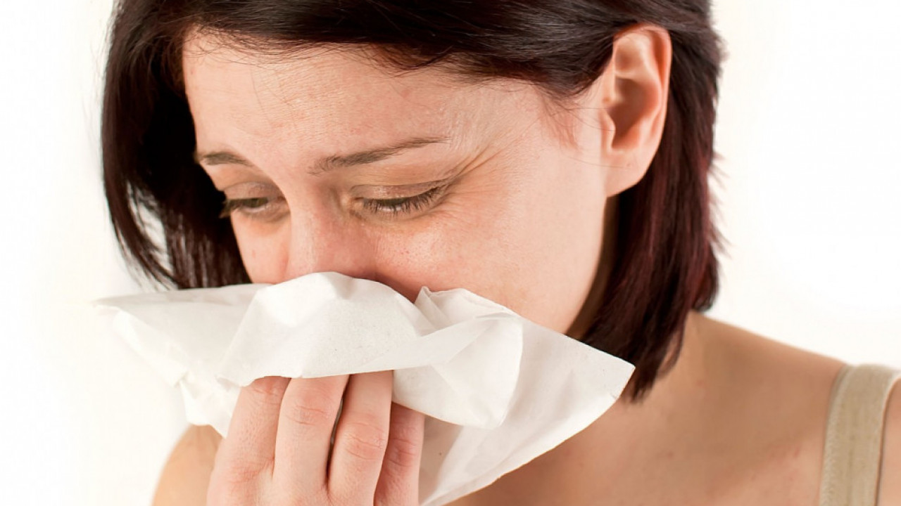 Четири намирнице које нас чувају од прехладе и грипа