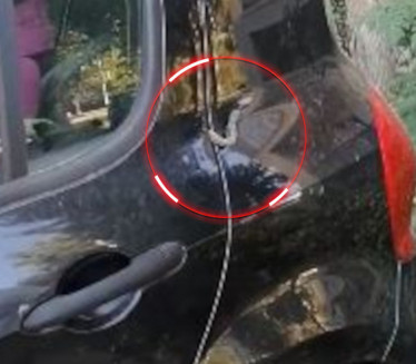 ZABELEŽILA KAMEROM: Novosađanki ušla zmija u vozilo (VIDEO)