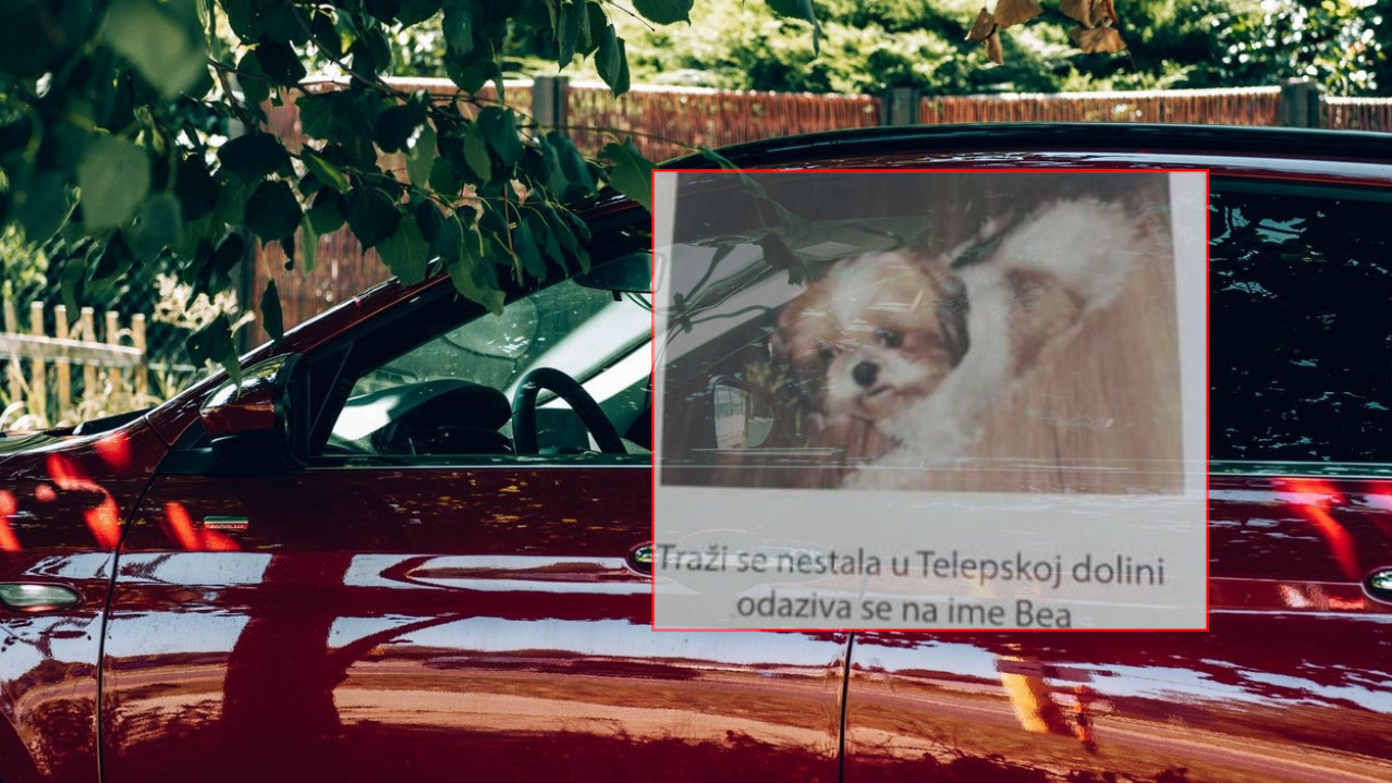 ВРЕДНА НАГРАДА: Пронађите пса и добићете СКУП аутомобил