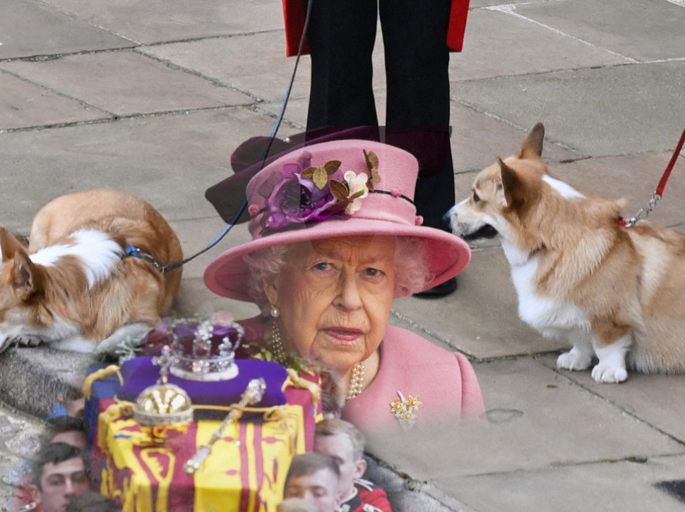 I ONI PATE: Tužna scena - kraljičini psi čekaju njen kovčeg