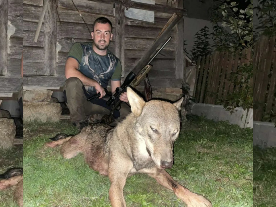DRAMA KOD LOZNICE Rade ubio vuka od 40 kg - na 500 m od sela