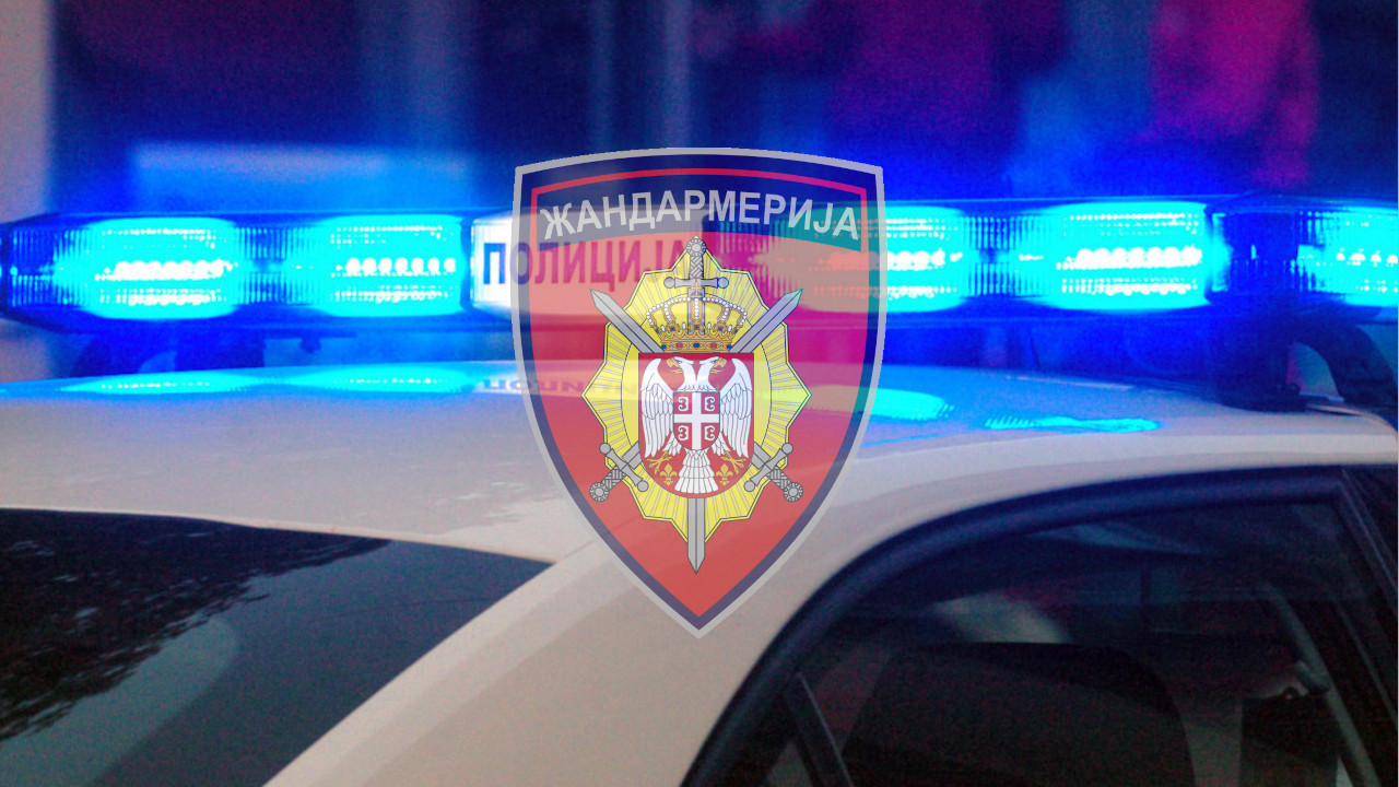 UHAPŠENI POLICAJCI: Žandarmi iz Novog Sada čuvali NJEGA
