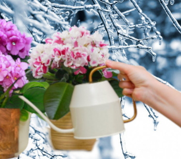 ОПРЕЗ: На овим местима током зиме не треба држати биљке