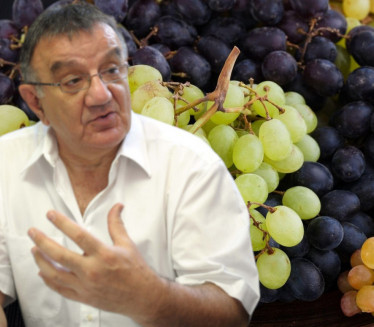 VEČITA DILEMA: Crno ili belo grožđe? Dr Perišić dao odgovor