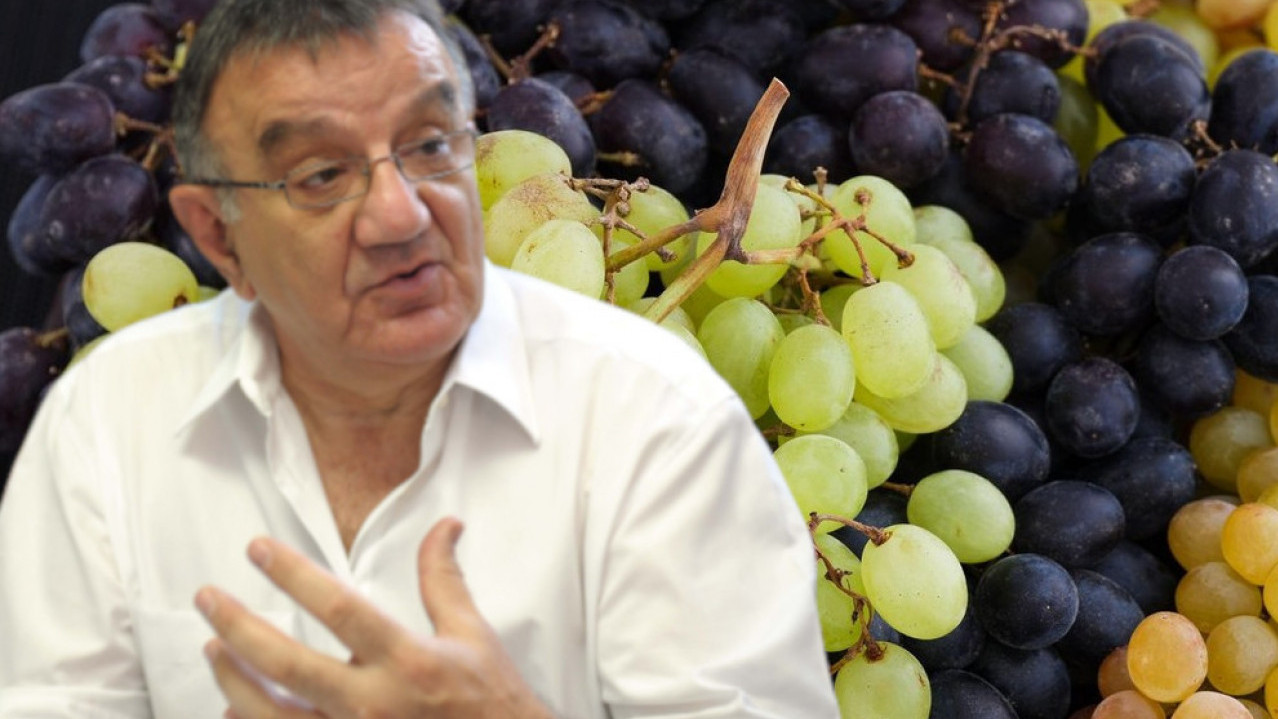 VEČITA DILEMA: Crno ili belo grožđe? Dr Perišić dao odgovor