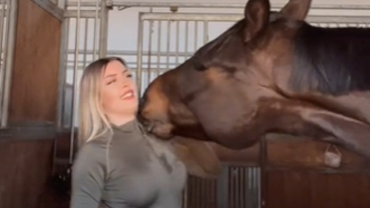 MANEKENKA U ČUDU: Konj joj otkopčao gornji deo (VIDEO)