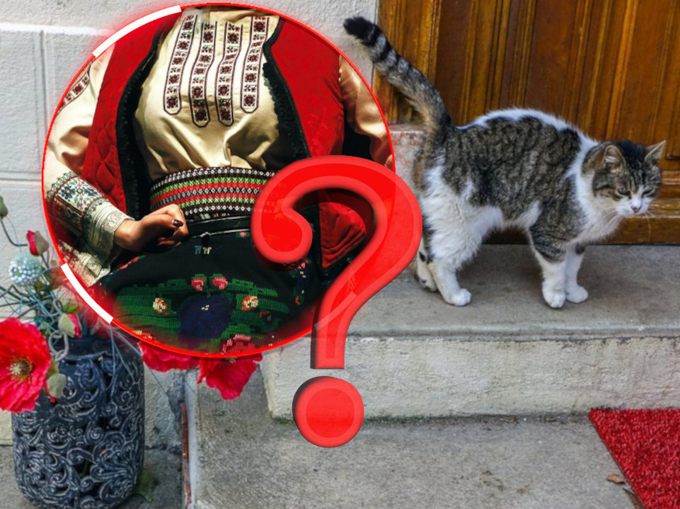 STARO VEROVANJE: Šta znači ako vam tuđa mačka dođe na prag?