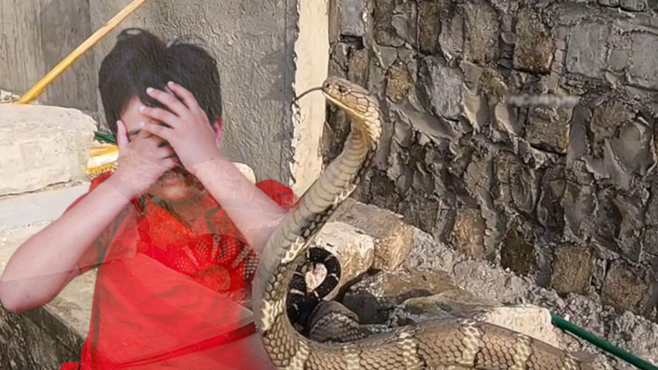 УЖАС У ВРТИЋУ: Змија отровница ујела дете