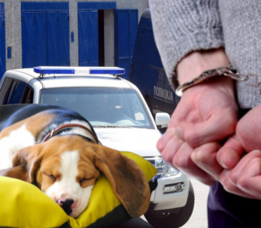 KRVNIČKI TUKAO PSA: Uhapšen čovek zbog zlostavljanja životinje