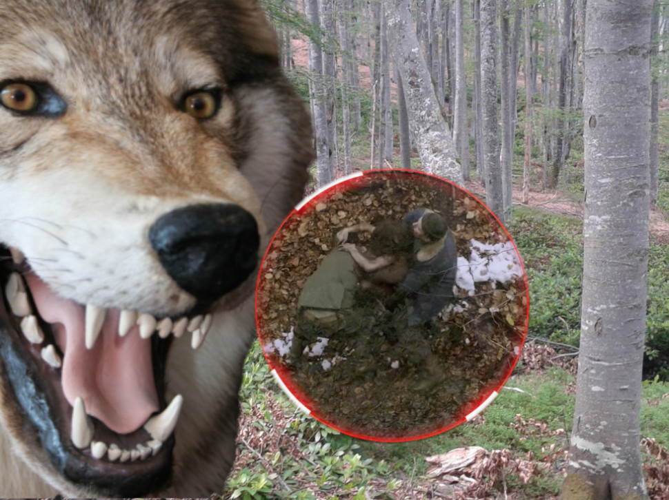 Мистерија дивљег детета из Босне које је одрасло у шуми