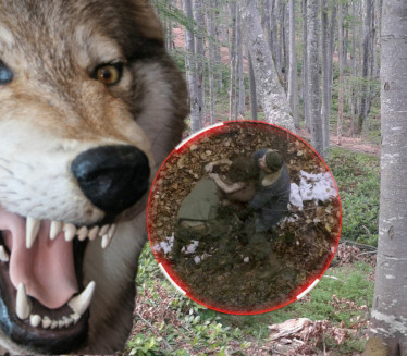Мистерија дивљег детета из Босне које је одрасло у шуми