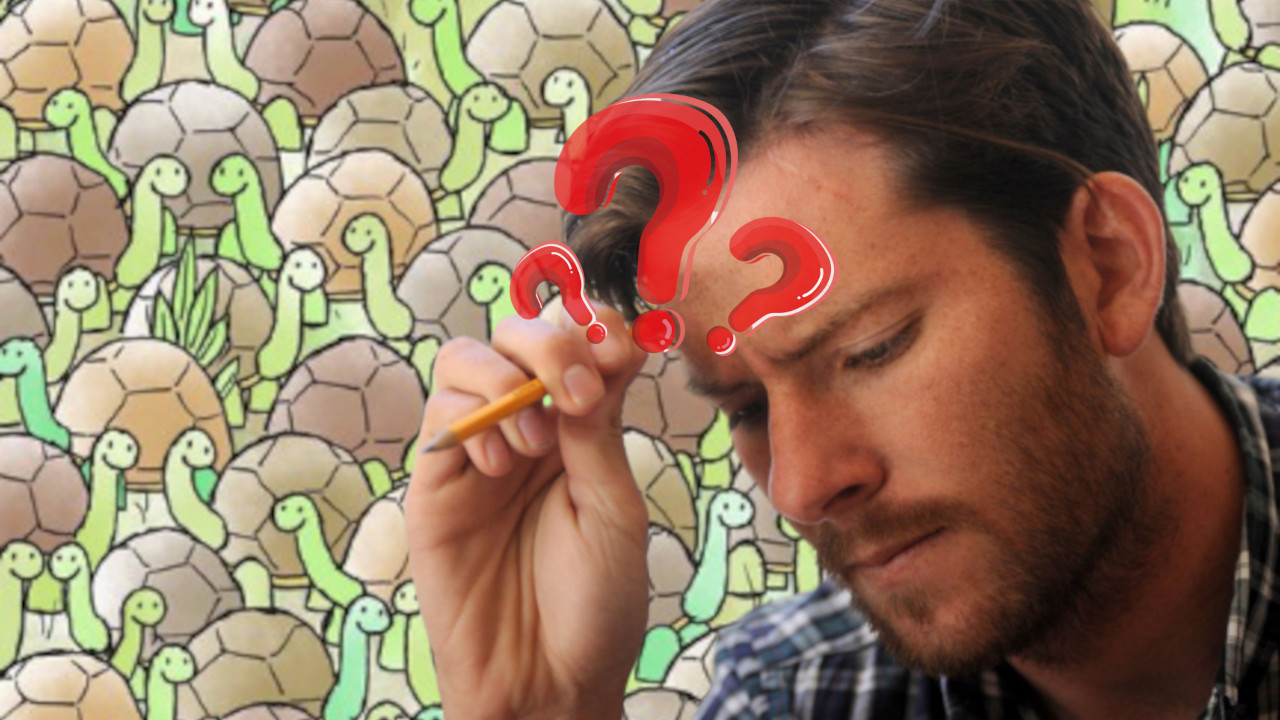 НИМАЛО ЛАКО: Можете ли да пронађете змију међу корњачама?