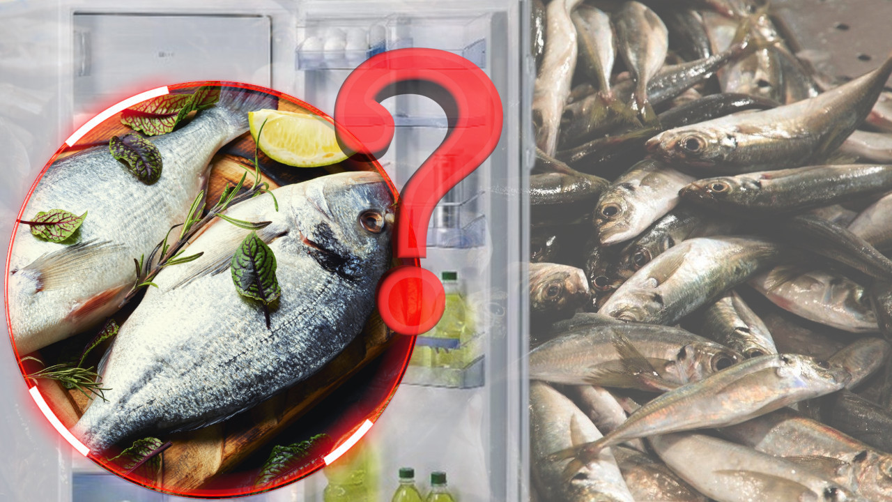 JEDNOSTAVAN TRIK: Kako da prepoznate da li je riba sveža?