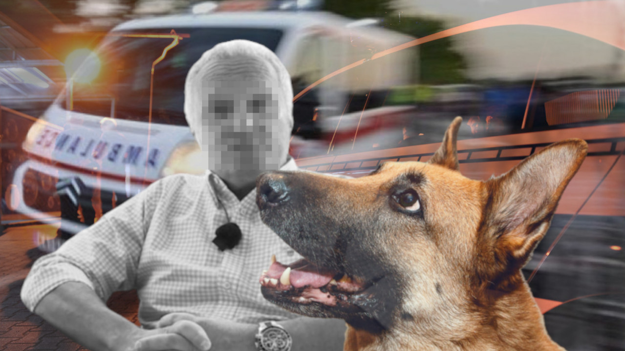 OVO JE PREMINULI ČOVEK: Analitičara usmrtili psi na Kosmaju