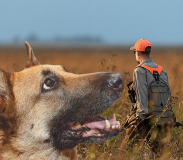 БИЗАРАН СЛУЧАЈ: Несрећа у лову - пас пушком УСМРТИО ловца
