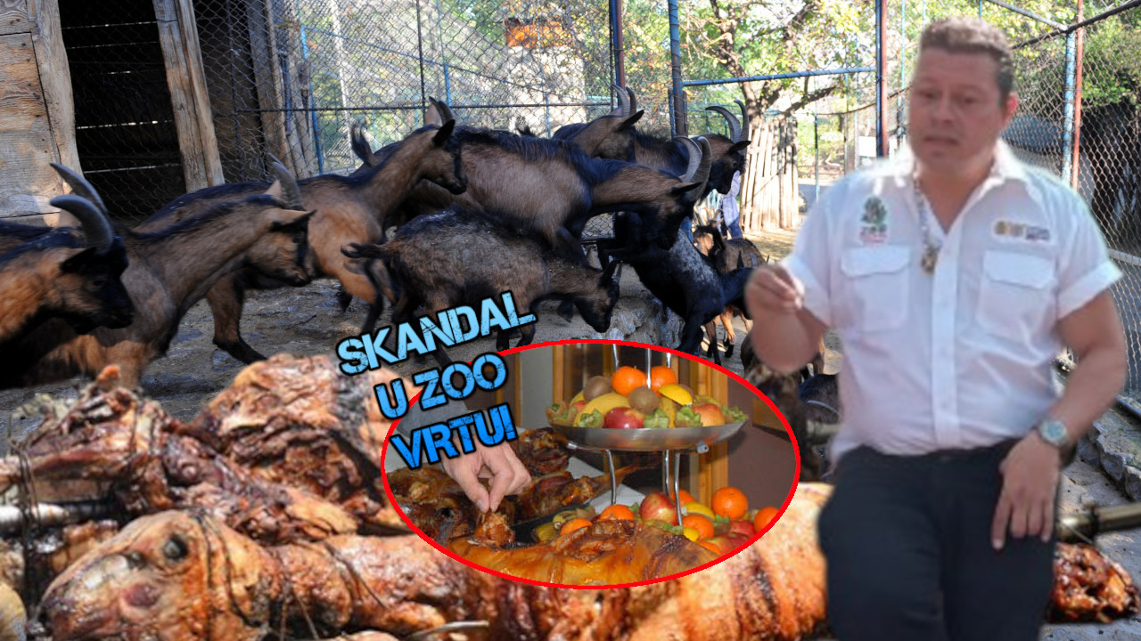 СКАНДАЛ У ЗОО ВРТУ: Директор служио месо својих животиња