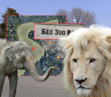 KALEMEGDAN U UNESKO: Šapić o razlozima premeštanja zoo-vrta