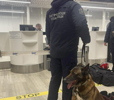 Српски полицијски пас Зиги кренуо да спасава људе у Турској