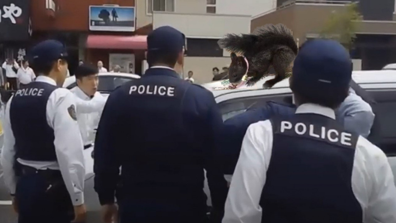 VEVERICE POMAŽU POLICIJI: U Kini nisu samo psi tragači